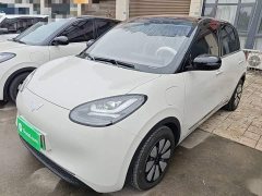 Wuling Binguo 333km Joy Edition - ფოტო 1