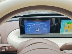 Wuling Binguo 333km Joy Edition - ფოტო 11