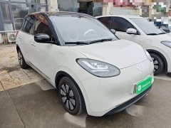 Wuling Binguo 333km Joy Edition - ფოტო 3