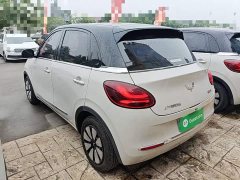Wuling Binguo 333km Joy Edition - ფოტო 4