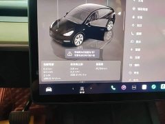 Tesla Model Y Rear-Wheel Drive - фото 11