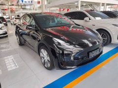 Tesla Model Y Rear-Wheel Drive - фото 3