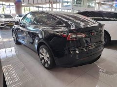 Tesla Model Y Rear-Wheel Drive - фото 4