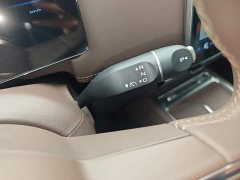 Wuling Starlight 730 New Energy Pure Electric 500km Luxury - фото 13