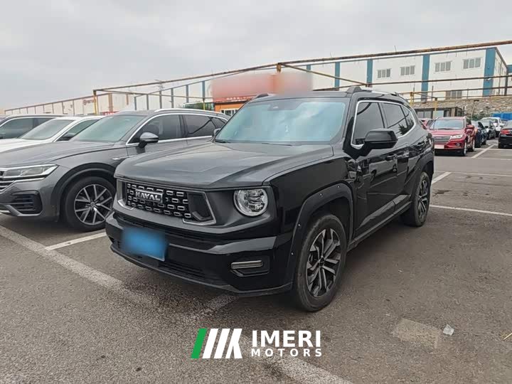 Haval Big Dog PLUS 2.0T AWD Trendy Wilderness Plus - автомобиль из Китая