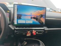 Haval Big Dog PLUS 2.0T AWD Trendy Wilderness Plus - фото 12