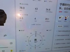 Li Auto L9 Max - ფოტო 11