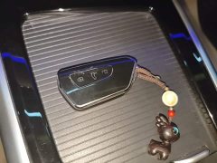 Volkswagen Passat Pro 380TSI Starry Sky Dragon Edition - ფოტო 8