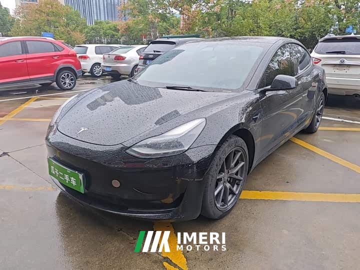 Tesla Model 3 Standard Range RWD Upgrade 3D6