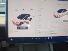 Tesla Model 3 Standard Range RWD Upgrade 3D6 - ფოტო 7