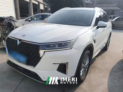 2021 Venucia Raize 260T Automatic 48V Mild Hybrid Turbo Star Enjoy Edition