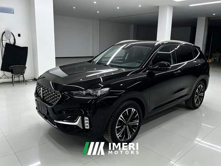 Great Wall WEY VV6 2.0T Two-Wheel Drive Smart Protection