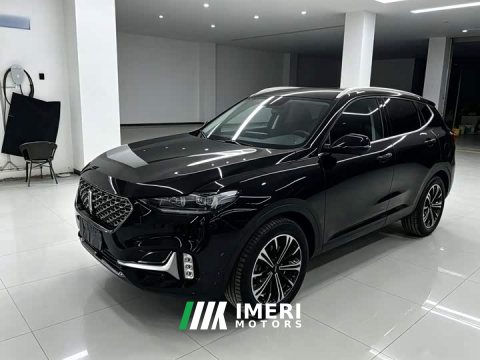 2021 Great Wall WEY VV6 2.0T Two-Wheel Drive Smart Protection - ავტომობილი ჩინეთიდან