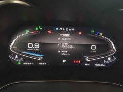 Great Wall WEY VV6 2.0T Two-Wheel Drive Smart Protection - фото 11