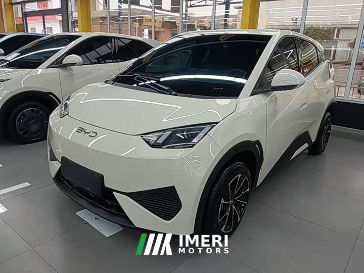 BYD Seagull 305km Vitality Edition - ავტომობილი ჩინეთიდან