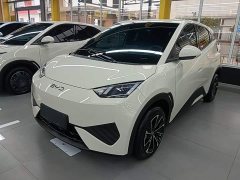 BYD Seagull 305km Vitality Edition - ფოტო 1
