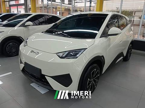 2025 BYD Seagull 305km Vitality Edition