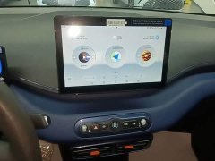 BYD Seagull 305km Vitality Edition - ფოტო 12
