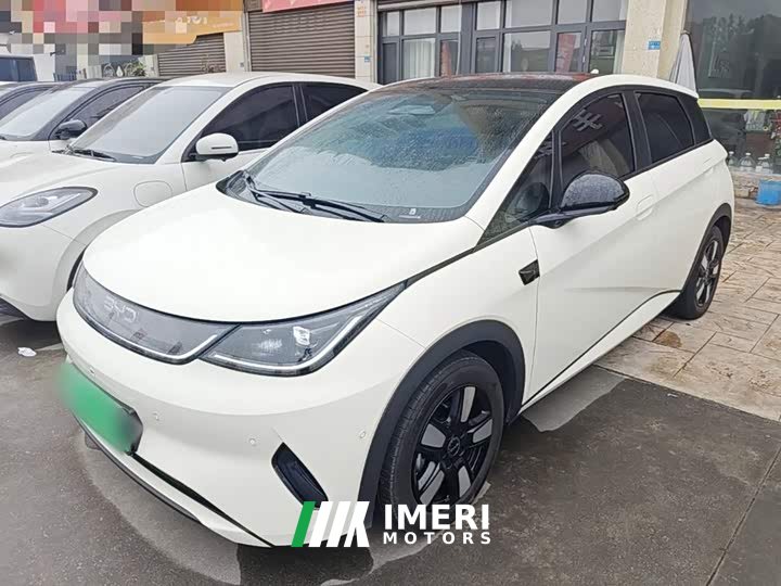 BYD Dolphin Smart Drive 410km Fashion Edition - car from China