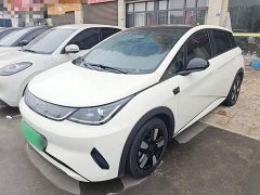 BYD Dolphin Smart Drive 410km Fashion Edition - photo 1