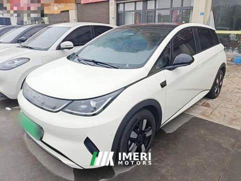 2025 BYD Dolphin Smart Drive 410km Fashion Edition