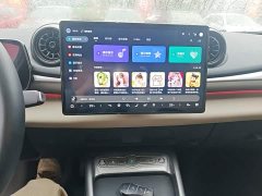 BYD Dolphin Smart Drive 410km Fashion Edition - photo 12