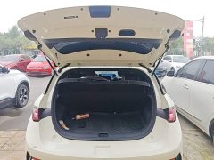 BYD Dolphin Smart Drive 410km Fashion Edition - photo 18