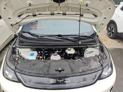 BYD Dolphin Smart Drive 410km Fashion Edition - photo 19