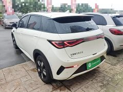 BYD Dolphin Smart Drive 410km Fashion Edition - photo 4