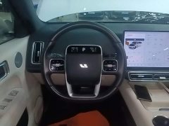 Li Auto L6 Pro - ფოტო 9
