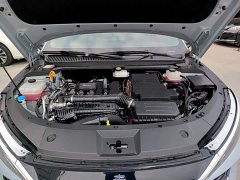 BYD Qin L DM-i 80KM Excellence Edition - photo 19
