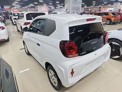 SAIC Corey Wei CLEVER 302km Excellence Edition - photo 4
