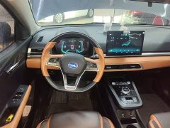 BYD e2 Luxury - ფოტო 10