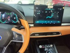 BYD e2 Luxury - ფოტო 12