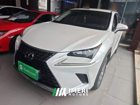 2021 Lexus NX 200 FWD Sharp Edition National VI - ავტომობილი ჩინეთიდან
