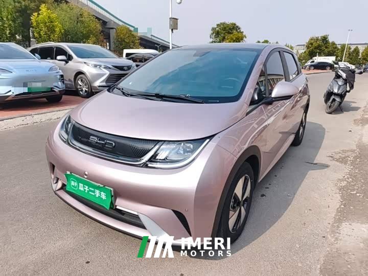 BYD Dolphin 420km Fashion Edition