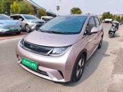BYD Dolphin 420km Fashion Edition - photo 1