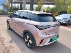 BYD Dolphin 420km Fashion Edition - photo 4