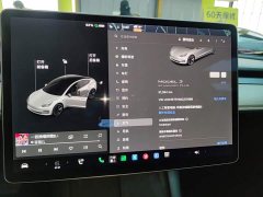 Tesla Model 3 Standard Range RWD Upgrade 3D6 - фото 11