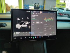 Tesla Model 3 Standard Range RWD Upgrade 3D6 - фото 12