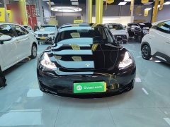 Tesla Model 3 Standard Range RWD Upgrade 3D6 - фото 2