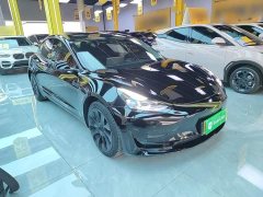 Tesla Model 3 Standard Range RWD Upgrade 3D6 - фото 3