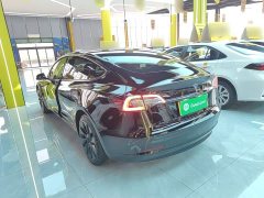 Tesla Model 3 Standard Range RWD Upgrade 3D6 - фото 4