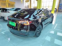 Tesla Model 3 Standard Range RWD Upgrade 3D6 - фото 6