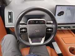Li Auto L8 Pro - photo 10