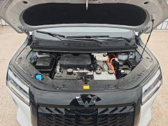 Wuling Starlight 730 New Energy PHEV 125km Luxury - ფოტო 18