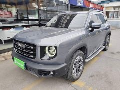Great Wall Dachshund 2.0T DCT Four-Wheel Drive Howling Celestial Dog Edition - photo 1