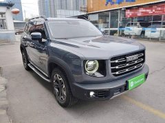 Great Wall Dachshund 2.0T DCT Four-Wheel Drive Howling Celestial Dog Edition - photo 3