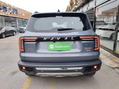 Great Wall Dachshund 2.0T DCT Four-Wheel Drive Howling Celestial Dog Edition - photo 5