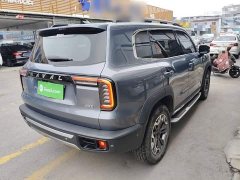 Great Wall Dachshund 2.0T DCT Four-Wheel Drive Howling Celestial Dog Edition - photo 6